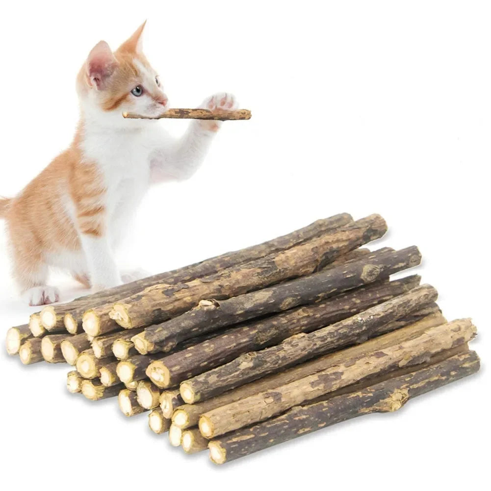 Catvera Silvervine Cat Chew Sticks - Image 1|||PROMPT|||Original clean product image