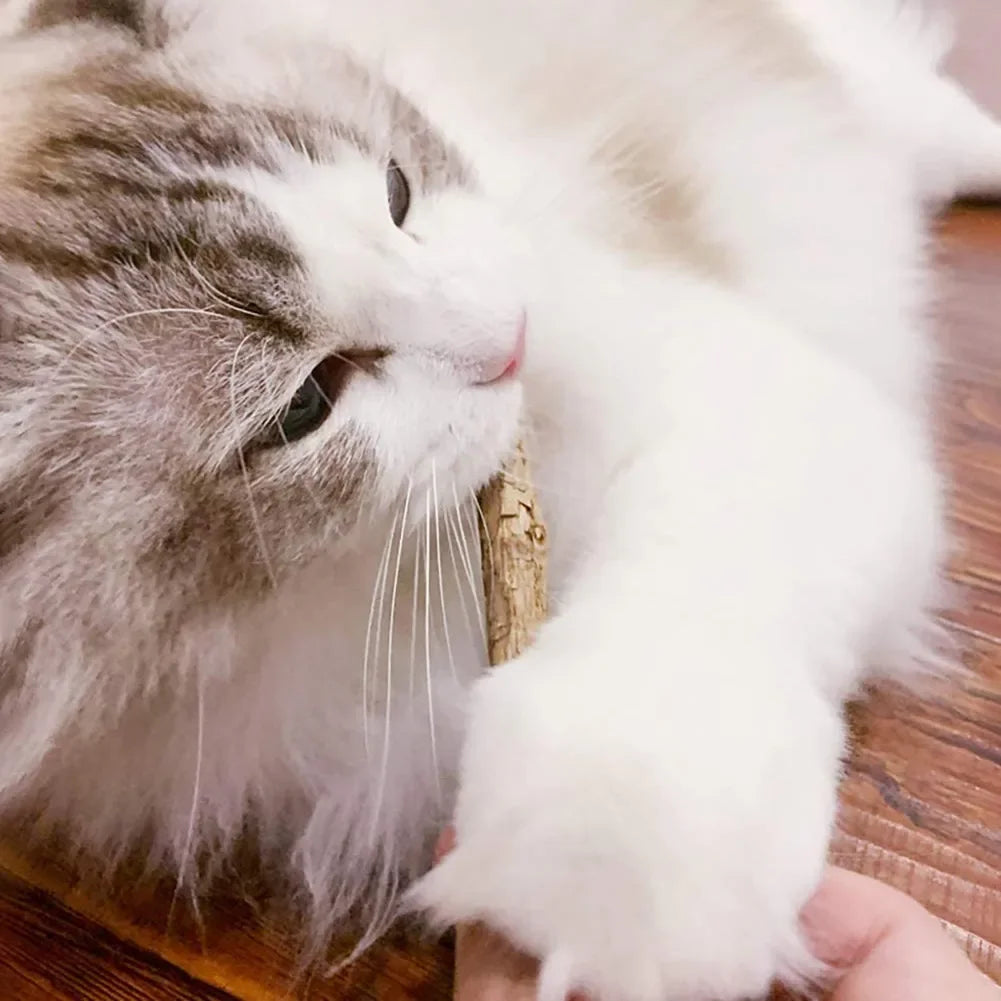 Catvera Silvervine Cat Chew Sticks - Image 2|||PROMPT|||Original clean product image