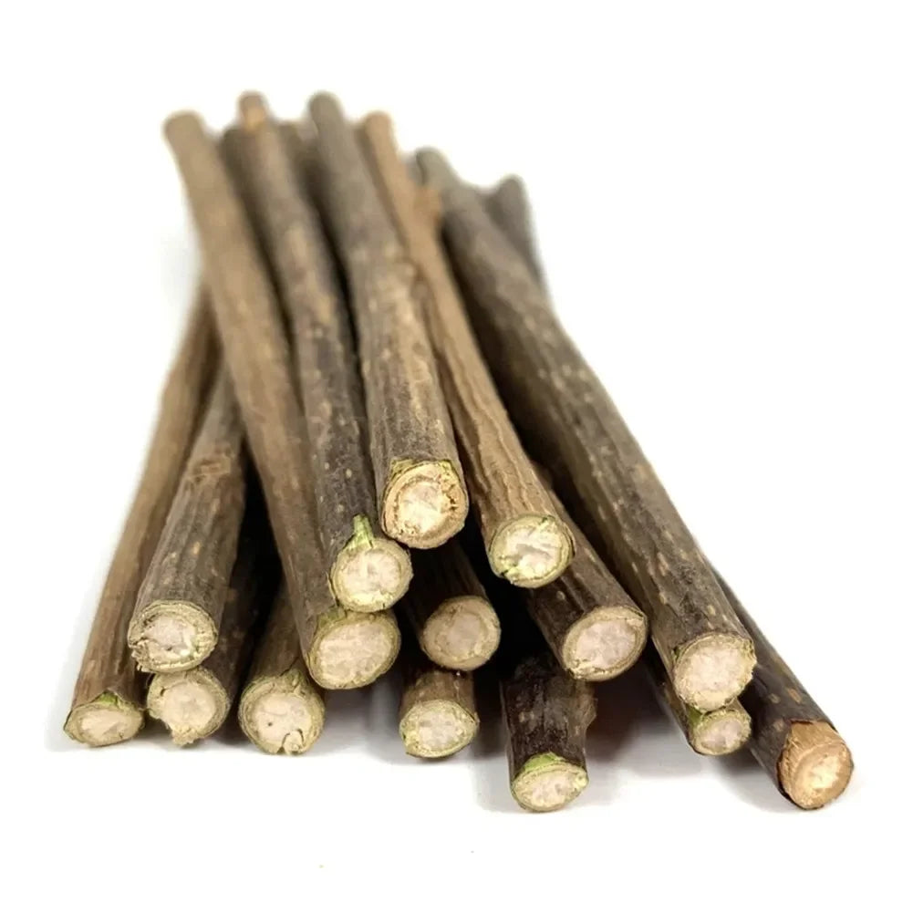 Catvera Silvervine Cat Chew Sticks - Image 4|||PROMPT|||Original clean product image