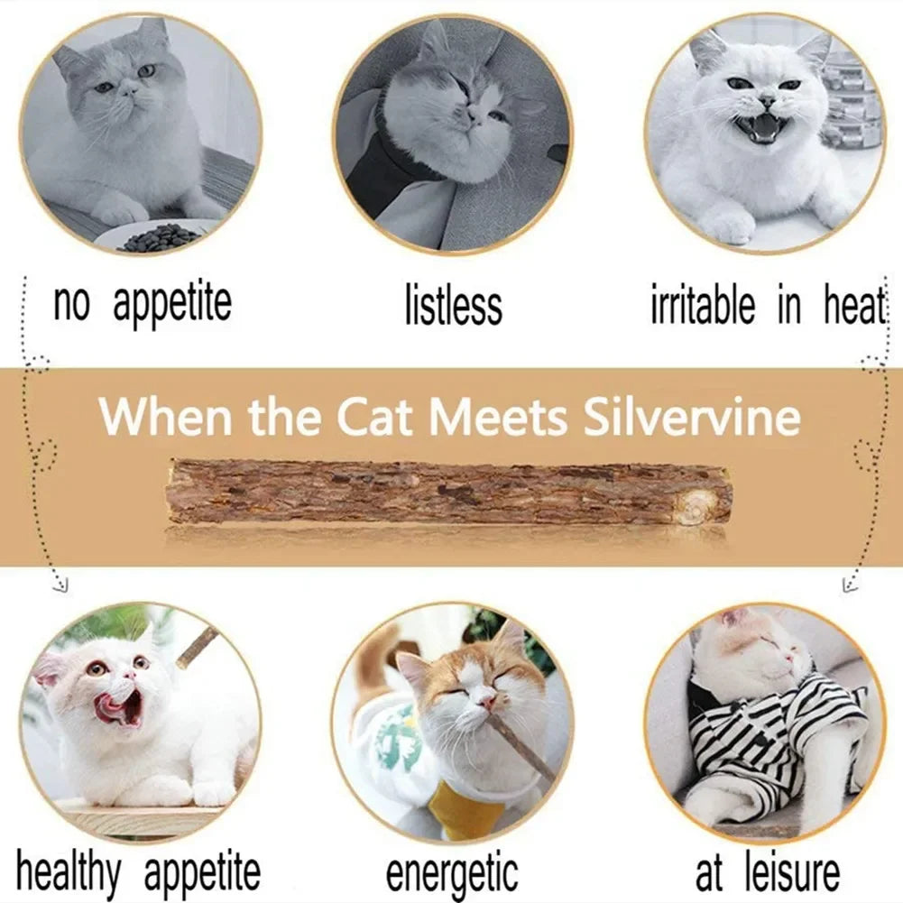 Catvera Silvervine Cat Chew Sticks - Image 5|||PROMPT|||Original clean product image