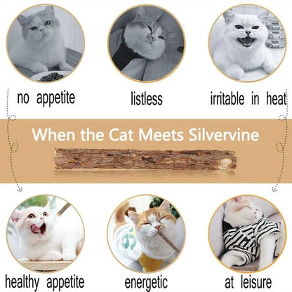 Catvera Silvervine Cat Chew Sticks - Image 5|||PROMPT|||Original clean product image