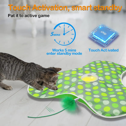 Catvera Smart Hide Seek Cat Toy - Image 6|||PROMPT|||Original clean product image