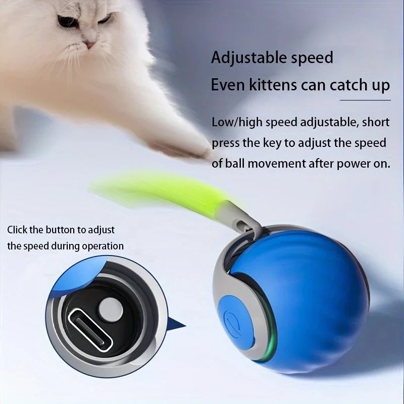 Catvera Smart Interactive Ball Toy - Image 2|||PROMPT|||Original clean product image