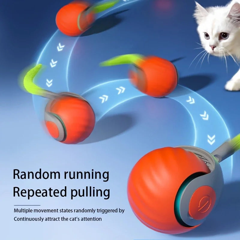 Catvera Smart Interactive Ball Toy - Image 3|||PROMPT|||Original clean product image