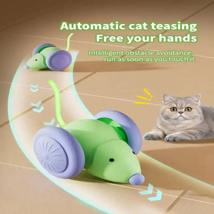 Catvera Smart Interactive Ball Toy - Image 6|||PROMPT|||Original clean product image