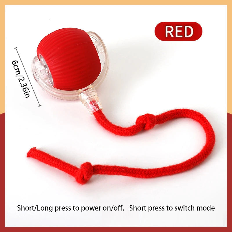 Catvera Smart Interactive Ball Toy - Image 8|||PROMPT|||Original clean product image