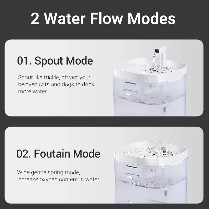 Catvera Smart Pet Water Fountain - Image 2|||PROMPT|||Original clean product image