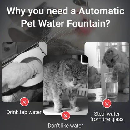 Catvera Smart Pet Water Fountain - Image 6|||PROMPT|||Original clean product image