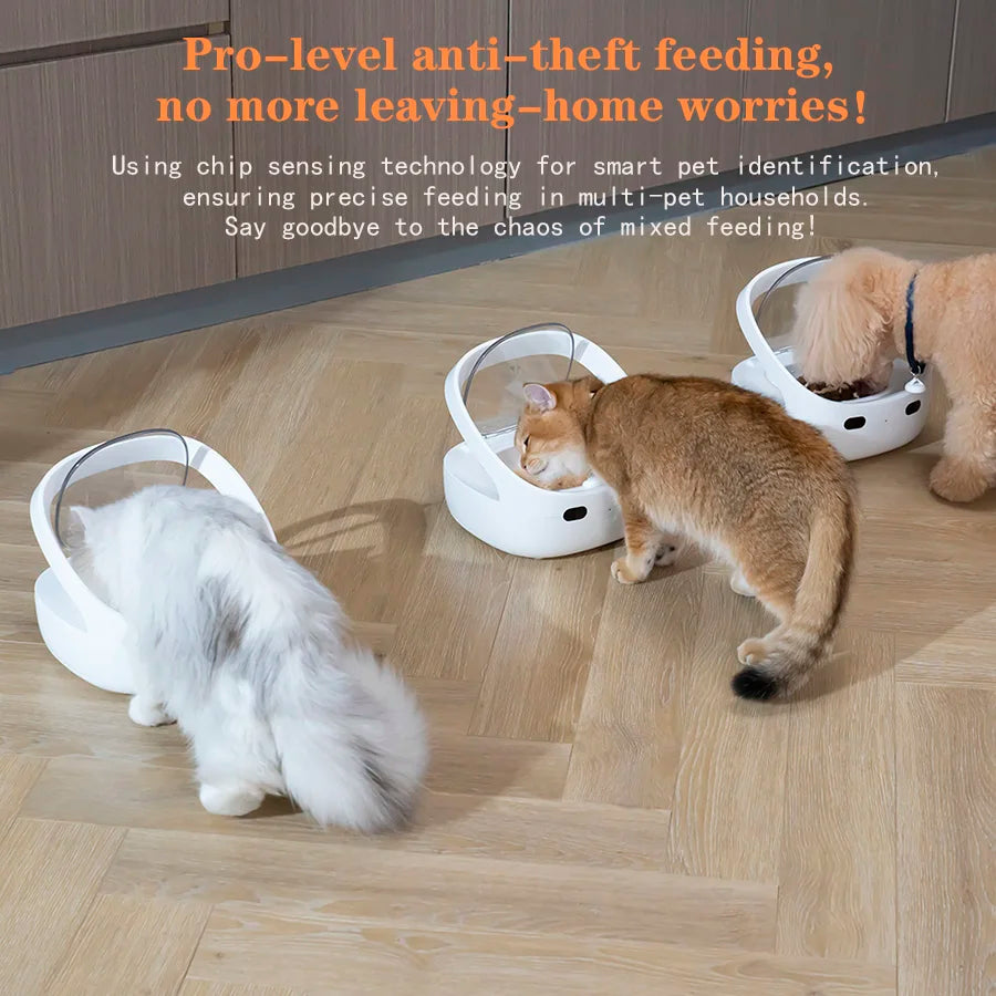 Catvera Smart RFID Multi-Pet Feeder - Image 3|||PROMPT|||Original clean product image