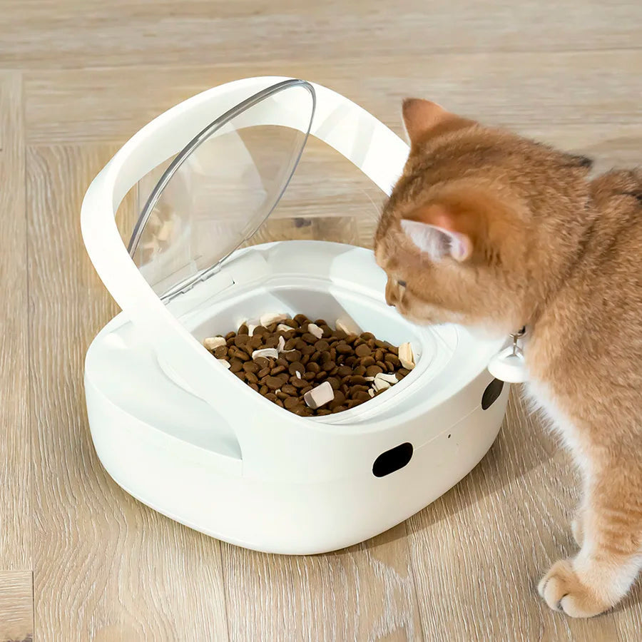 Catvera Smart RFID Multi-Pet Feeder - Image 6|||PROMPT|||Original clean product image