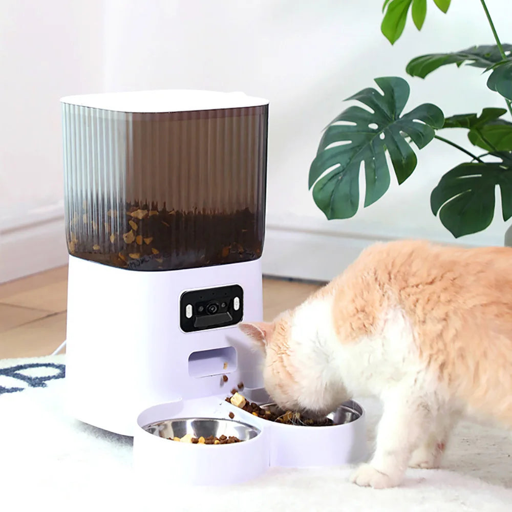 Catvera Smart WiFi Camera Auto Feeder - Image 3|||PROMPT|||Original clean product image