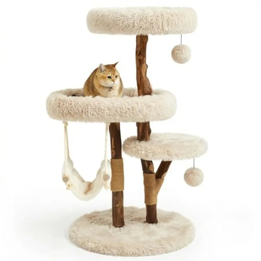 Catvera Solid Wood Cat Tree Tower - Image 1|||PROMPT|||Original clean product image