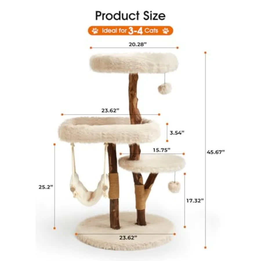 Catvera Solid Wood Cat Tree Tower - Image 3|||PROMPT|||Original clean product image