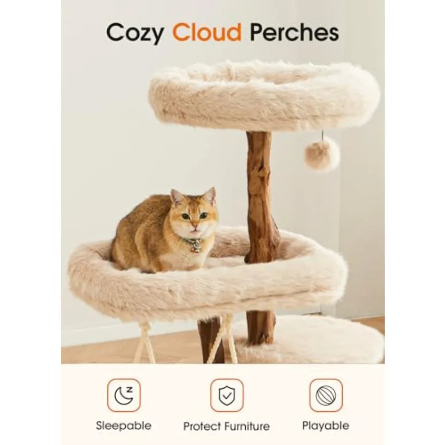 Catvera Solid Wood Cat Tree Tower - Image 4|||PROMPT|||Original clean product image