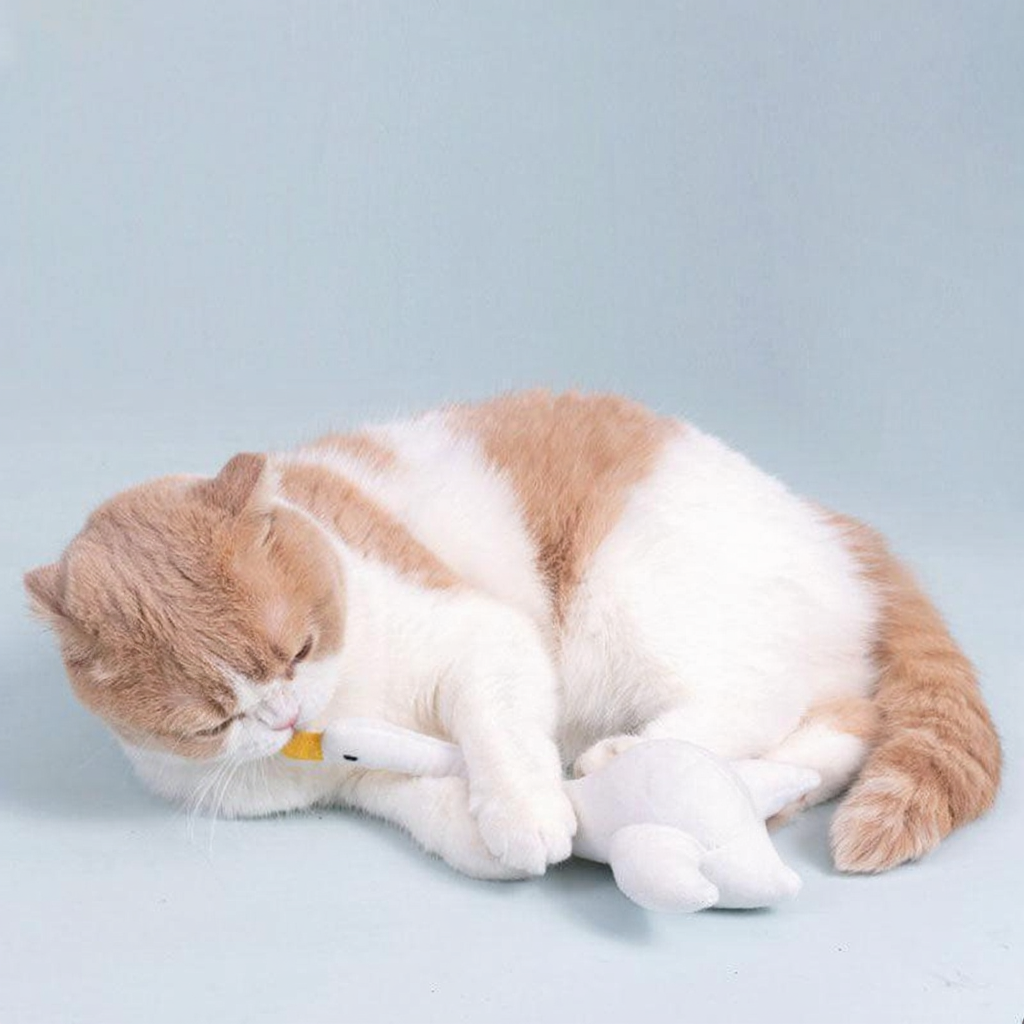 Catvera Sound Teaser Stick Toys - Image 15|||PROMPT|||Cleaned image. Original analysis: found 1 brand name stitched on the toy duck/product that the cat is playing with