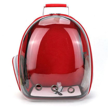Catvera Transparent Bubble Cat Backpack - Image 1|||PROMPT|||Original clean product image