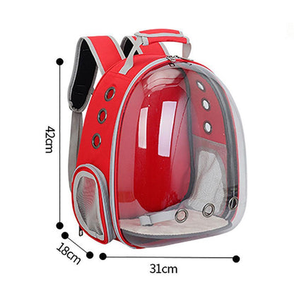 Catvera Transparent Bubble Cat Backpack - Image 8|||PROMPT|||Original clean product image