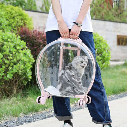 Catvera Transparent Wheeled Cat Carrier - Image 10|||PROMPT|||Original clean product image