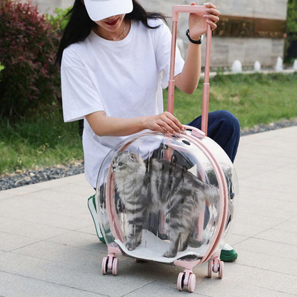 Catvera Transparent Wheeled Cat Carrier - Image 11|||PROMPT|||Cleaned image. Original analysis: Found 1 brand name printed on the t-shirt worn by the person in the image