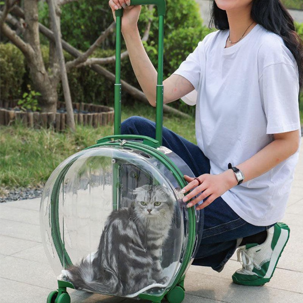 Catvera Transparent Wheeled Cat Carrier - Image 13|||PROMPT|||Cleaned image. Original analysis: Found 1 brand name printed on the t-shirt worn by the person in the image
