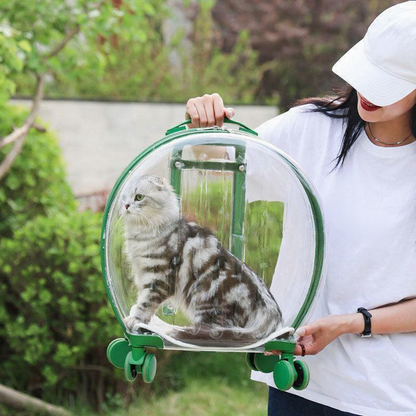 Catvera Transparent Wheeled Cat Carrier - Image 14|||PROMPT|||Cleaned image. Original analysis: Found 2 brand names: 'Nike' logo on the white cap, and 'Sound Rider' text printed on the white t-shirt worn by the person