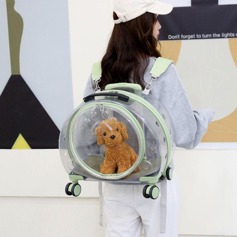 Catvera Transparent Wheeled Cat Carrier - Image 16|||PROMPT|||Original clean product image