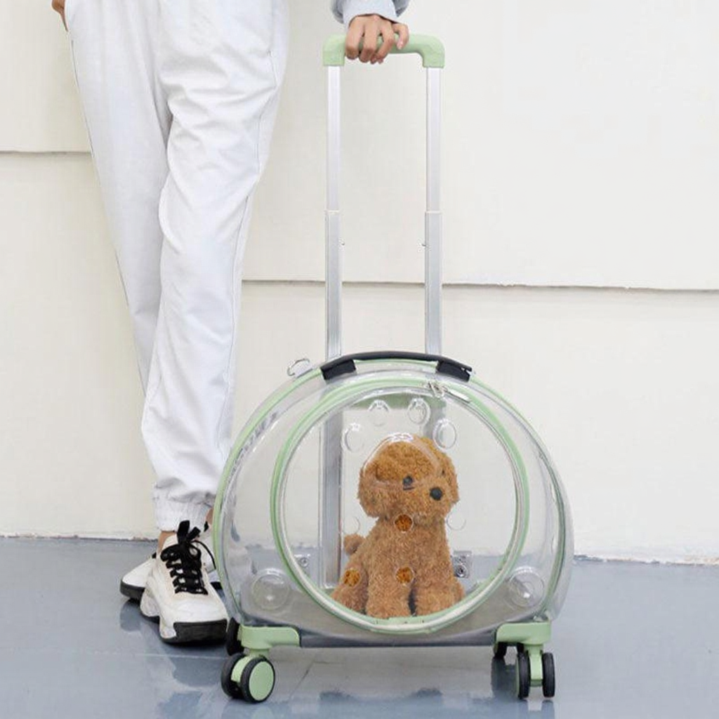 Catvera Transparent Wheeled Cat Carrier - Image 17|||PROMPT|||Cleaned image. Original analysis: Found brand name 'LOS ANGELES' printed vertically on the white pants leg