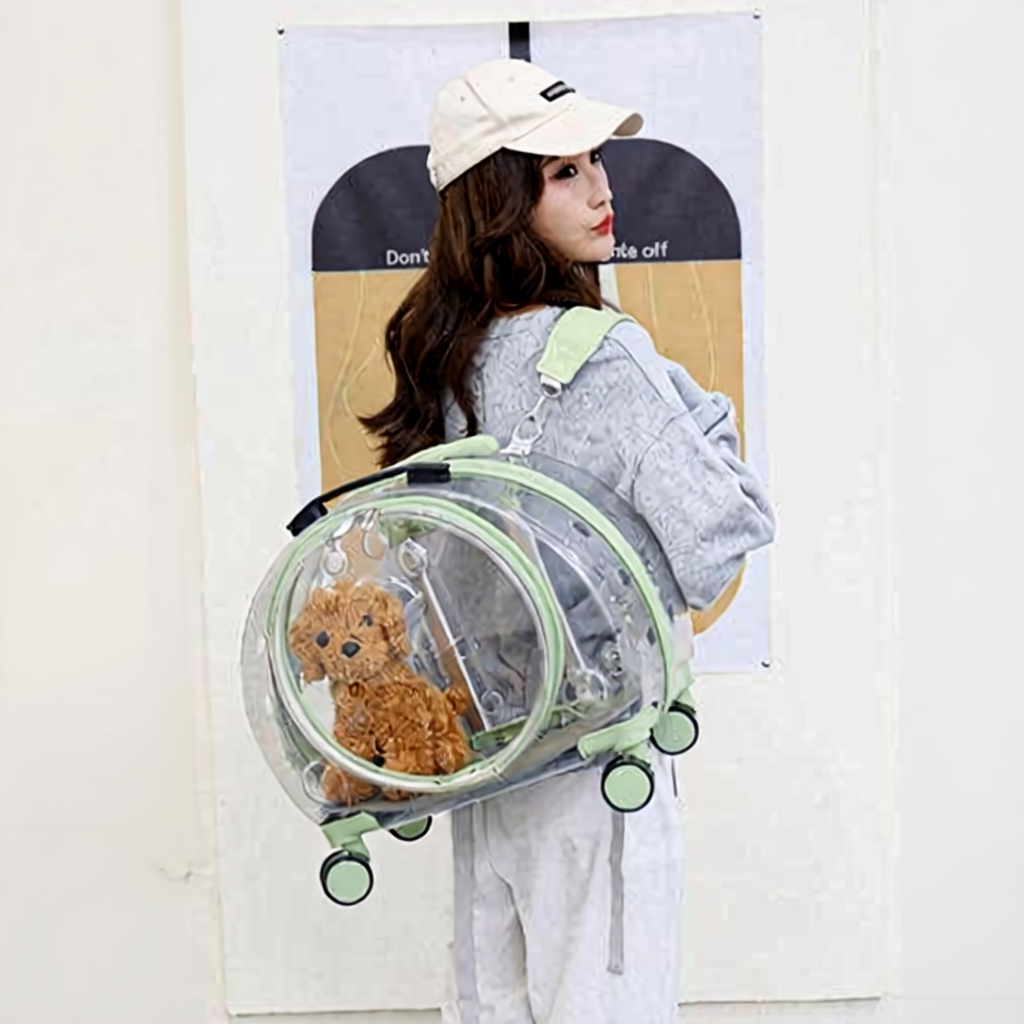 Catvera Transparent Wheeled Cat Carrier - Image 18|||PROMPT|||Cleaned image. Original analysis: Found 1 watermark text overlay 'JUST ARRIVED' in the top right corner and 1 brand name 'Don't' visible on the wall/background signage
