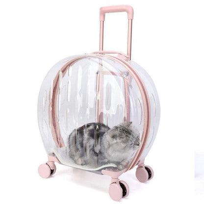 Catvera Transparent Wheeled Cat Carrier - Image 3|||PROMPT|||Original clean product image