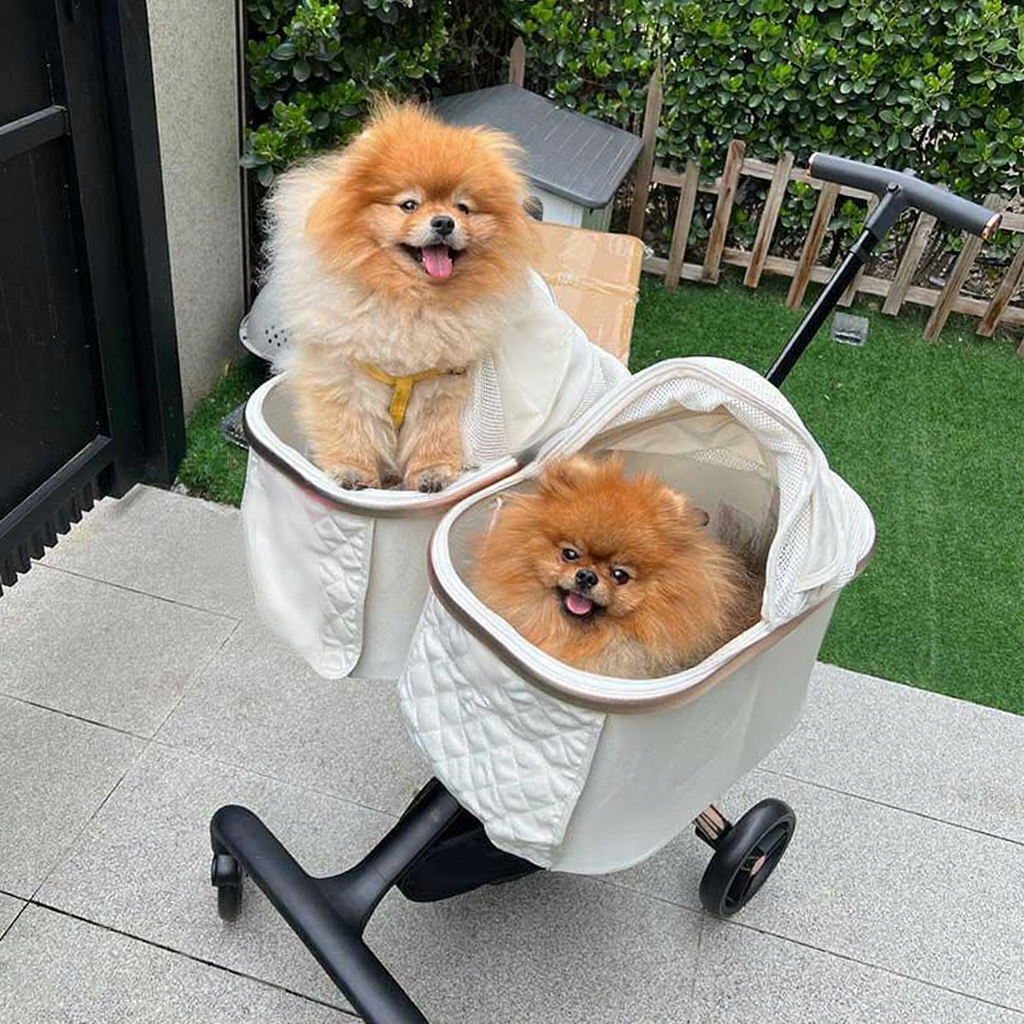 Catvera Twin Double Pet Stroller - Image 9|||PROMPT|||Cleaned image. Original analysis: Found 1 brand name on the pet stroller product itself