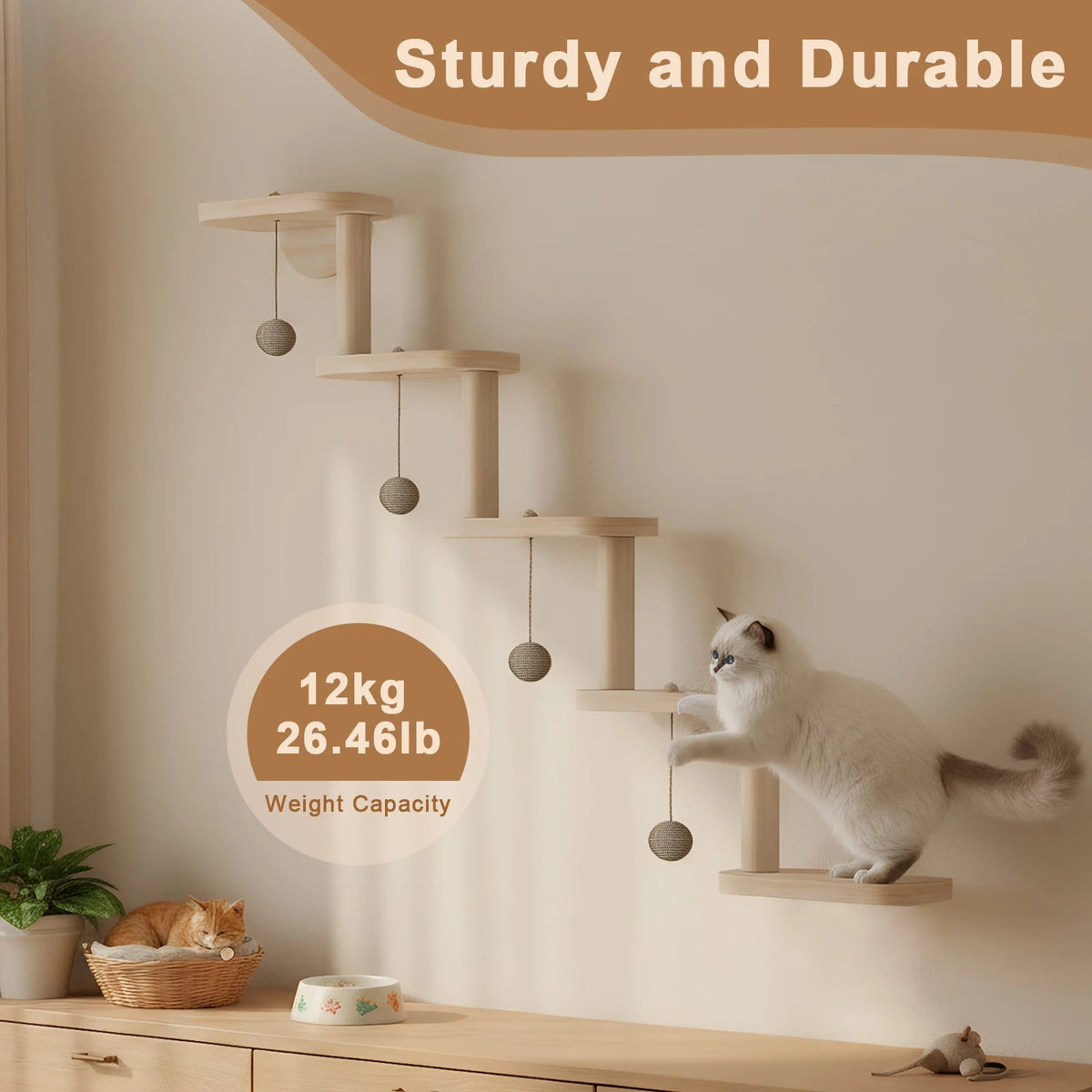Catvera Wall Mounted Cat Climbing Frame - Image 3|||PROMPT|||Original clean product image