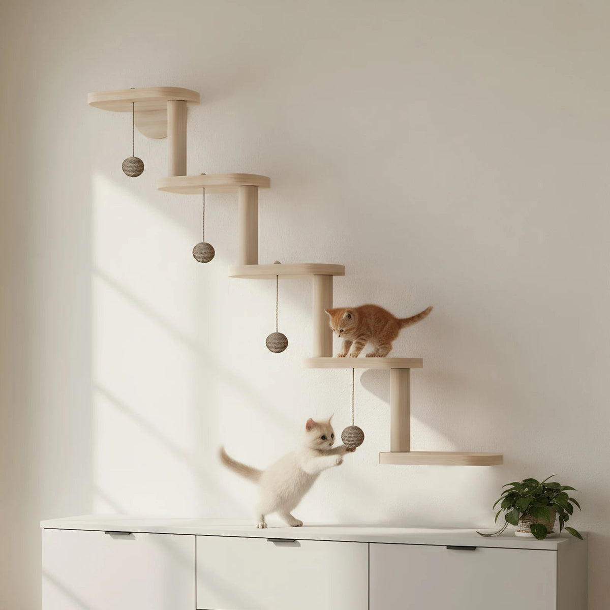 Catvera Wall Mounted Cat Climbing Frame - Image 4|||PROMPT|||Original clean product image