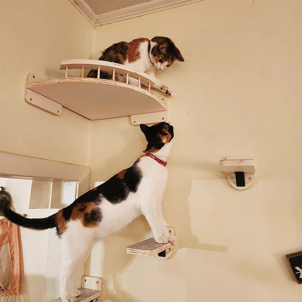 Catvera Wall Mounted Cat Climbing System - Image 5|||PROMPT|||Original clean product image