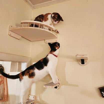 Catvera Wall Mounted Cat Climbing System - Image 5|||PROMPT|||Original clean product image