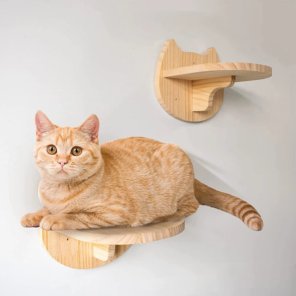 Catvera Wall Mounted Cat Climbing System - Image 6|||PROMPT|||Original clean product image