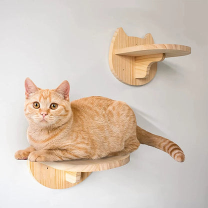 Catvera Wall Mounted Cat Climbing System - Image 6|||PROMPT|||Original clean product image
