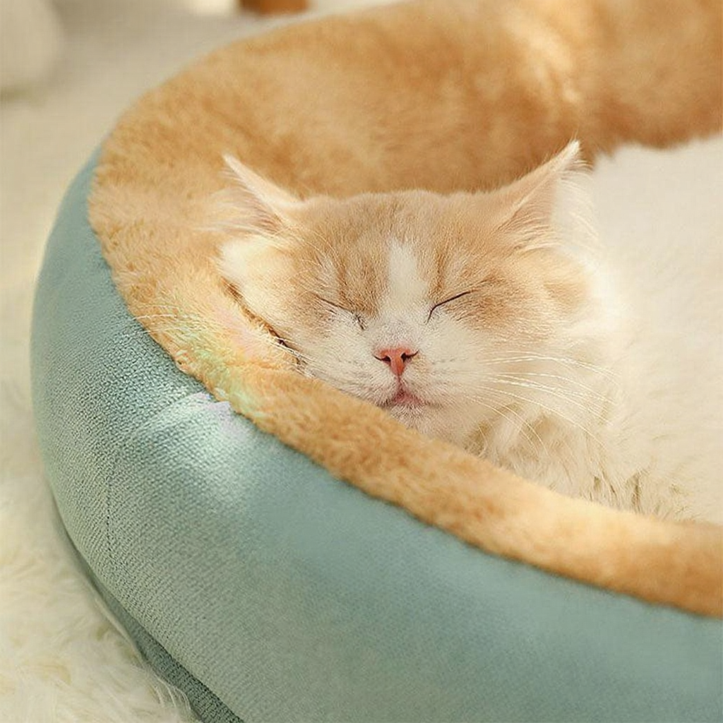 Catvera Waterproof Lambskin Cat Bed - Image 8|||PROMPT|||Cleaned image. Original analysis: found 1 watermark with 'zzz' text overlay indicating sleep/sleepiness