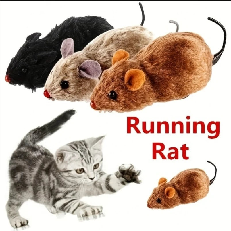 Catvera Wind-Up Running Mouse Toy - Image 1|||PROMPT|||Original clean product image