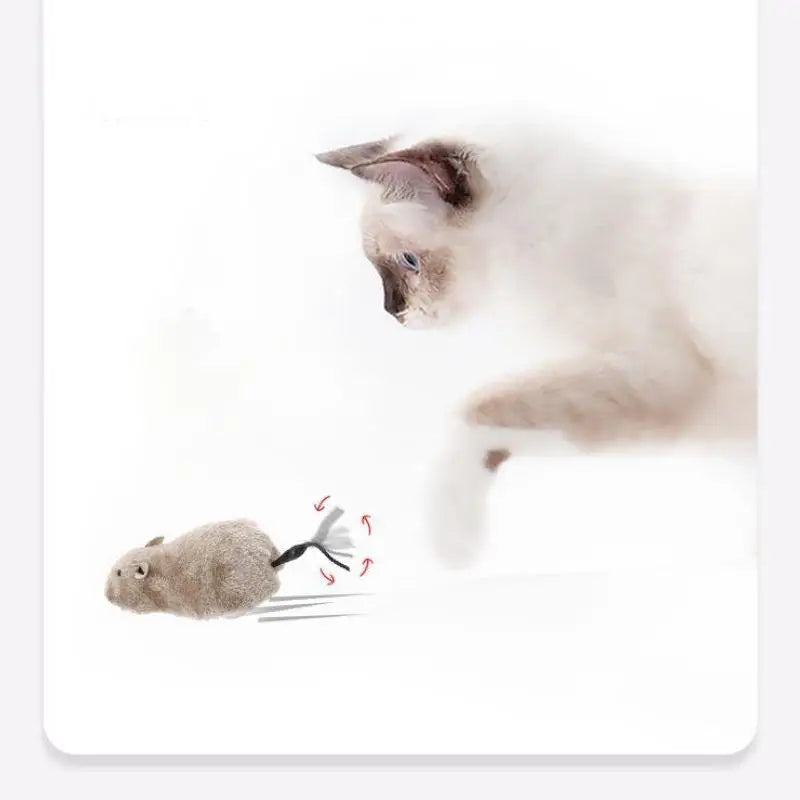 Catvera Wind-Up Running Mouse Toy - Image 2|||PROMPT|||Original clean product image