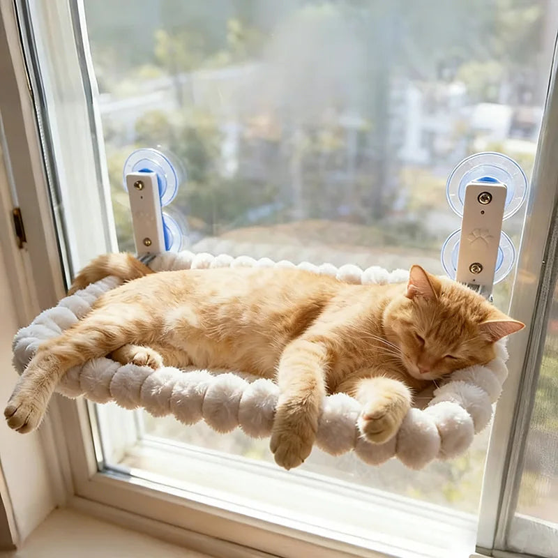 Catvera Window Hammock Premium Suction - Image 1|||PROMPT|||Original clean product image