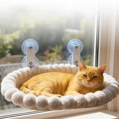 Catvera Window Hammock Premium Suction - Image 2|||PROMPT|||Original clean product image