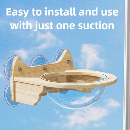 Catvera Window Suction Cat Climbing Shelves - Image 3|||PROMPT|||Original clean product image