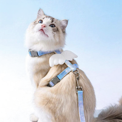 Catvera Winged Cat Harness Leash - Image 4|||PROMPT|||Cleaned image. Original analysis: found 1 watermark text overlay in the top left corner