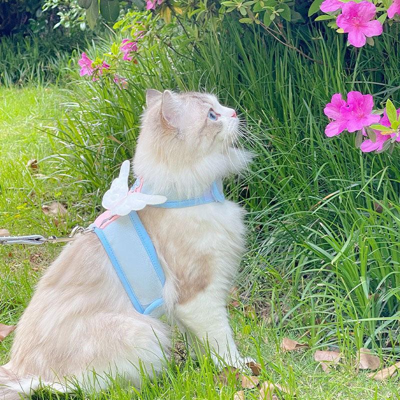 Catvera Winged Cat Harness Leash Set - Image 13|||PROMPT|||Original clean product image