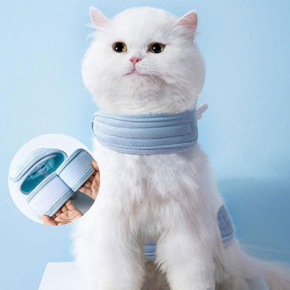 Catvera Winged Cat Harness Leash Set - Image 8|||PROMPT|||Original clean product image