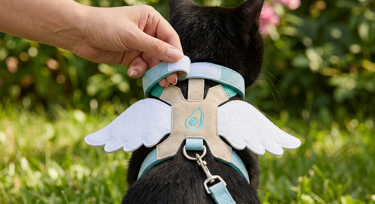 Catvera Winged Cat Harness Leash Set - Advanced Safety Engineering