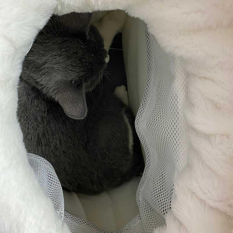 Catvera Winter Front Pack Carrier - Image 14|||PROMPT|||Original clean product image