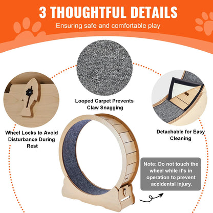 Catvera Wooden Cat Exercise Wheel - Image 2|||PROMPT|||Original clean product image