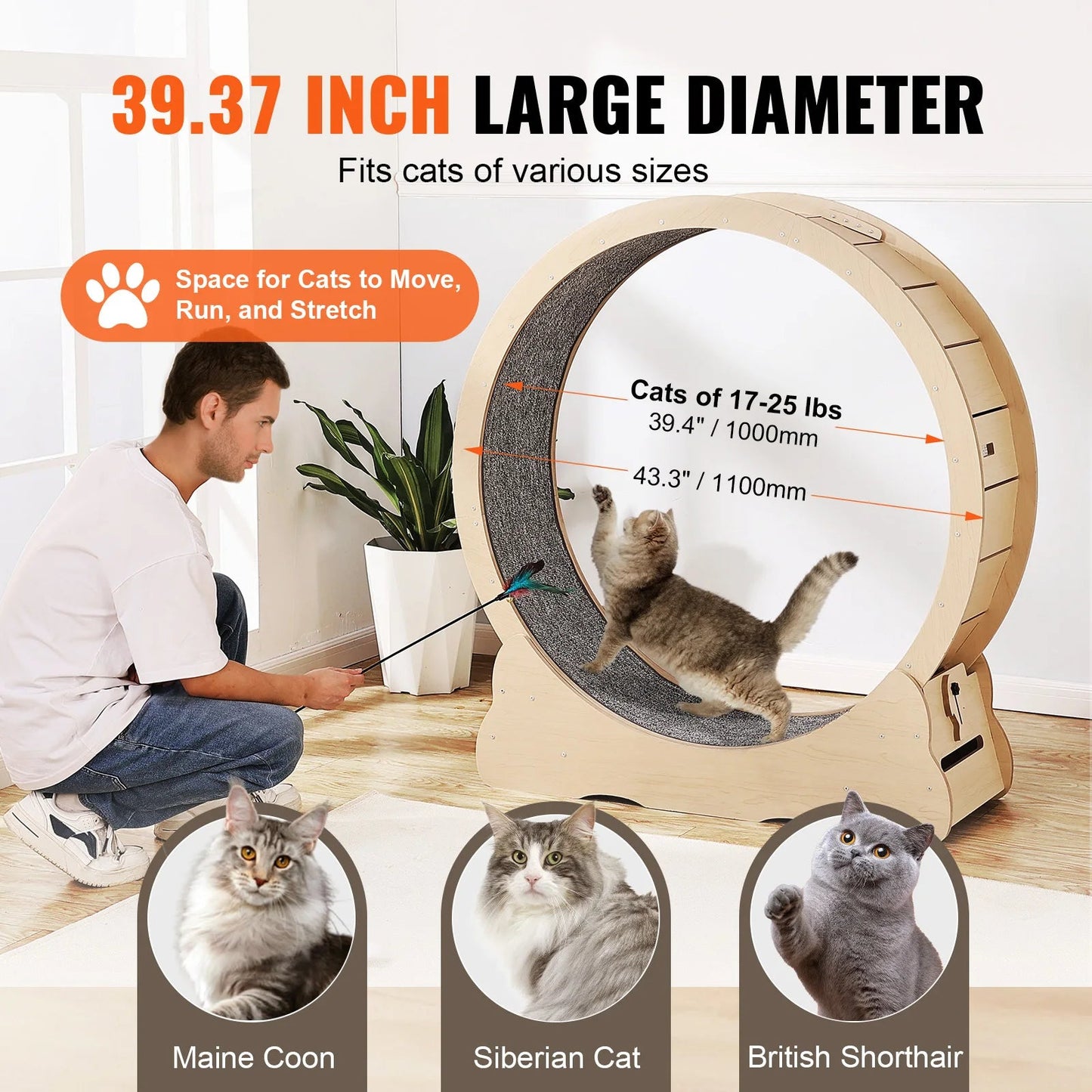 Catvera Wooden Cat Exercise Wheel - Image 4|||PROMPT|||Original clean product image
