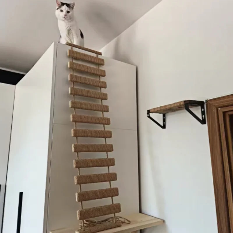 Catvera Wooden Cat Wall Climbing Ladder - Image 1|||PROMPT|||Original clean product image